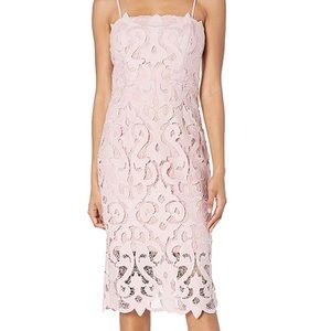 Bardot Women's Blush All Over Lace Dress